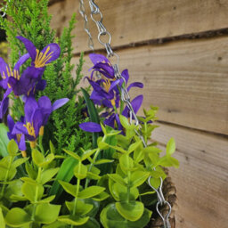 Best Artificial Purple Mini Daffodil Flower Display In 10 Inch Woven Decorative Hanging Basket - thumbnail 3