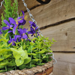 Best Artificial Purple Mini Daffodil Flower Display In 10 Inch Woven Decorative Hanging Basket - thumbnail 4