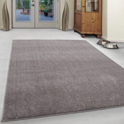 Abaseen 80X150Cm Beige Small Large Ata Rug Modern Rugs Rectangular Size Soft Touch 9mm Pile Height Area Rugs Non Shedding - thumbnail 1
