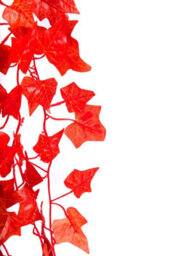 Best Artificial 100Cm Autumn English Trailing Ivy Halloween Garland Strings Strands Twines Decoration - Ti09 - thumbnail 2
