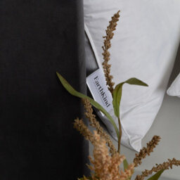 Earthkind Eco Friendly Feather & Down Pillow 2 Pack Medium Support Back Sleeper For Back Pain Relief Soft Cotton Cover 48X74Cm - thumbnail 3