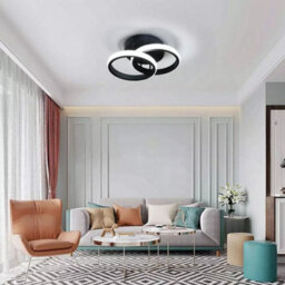 22W 24Cm Modern Led Ceiling Light Cold White Chandelier Metal Black Wall Lamp - thumbnail 8