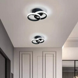 22W 24Cm Modern Led Ceiling Light Cold White Chandelier Metal Black Wall Lamp - thumbnail 7