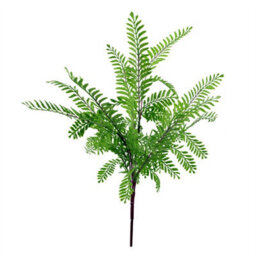 Leaf 55Cm Himilayan Maidenhair Fern Bush Light Green Plant - thumbnail 1
