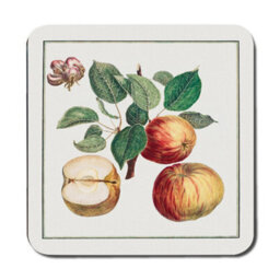 Benjamin Tate Design Botanical Fruit Placemat And Coaster Set With Wood Bottom Twelve Piece Limited Edition Designer Artwork - thumbnail 3