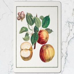 Benjamin Tate Design Botanical Fruit Placemat And Coaster Set With Wood Bottom Twelve Piece Limited Edition Designer Artwork - thumbnail 2