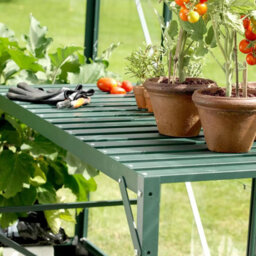 Vitavia Washington 5000 6X8 Greenhouse With Toughened Glass, Steel Base & Staging Table, Powder Coated Aluminium Frame - thumbnail 5