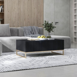 Heze Furniture Elpis Glamour Coffee Table 110 Cm - Black Matt / Golden Frame - thumbnail 4