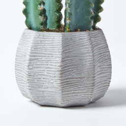 Homescapes Artificial Green Handcrafted Hylcocereus Cactus In Decorative Textured Stone Pot, 49 Cm - thumbnail 3