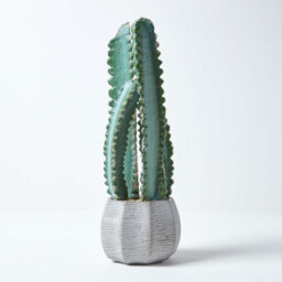 Homescapes Artificial Green Handcrafted Hylcocereus Cactus In Decorative Textured Stone Pot, 49 Cm - thumbnail 5