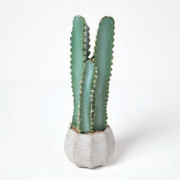 Homescapes Artificial Green Handcrafted Hylcocereus Cactus In Decorative Textured Stone Pot, 49 Cm