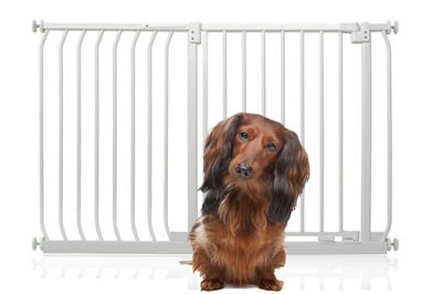 Bettacare Elite Pressure Dog Gate, 125Cm - 134Cm, Matt White, Pressure Fit Pet Gate For Dog And Puppy - image 1