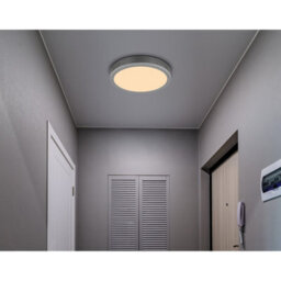 Luminosa Lighting Luminosa Doro 30Cm Flush Ceiling Light Silver Colored Led 3000K - thumbnail 5