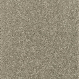 Tranquility Silver Bleach Cleanable Carpet By Remland (Ashen Tan, 2M X 4M) - thumbnail 1