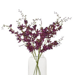 Hill Interiors Cymbidium Spray Artificial Flower Purple (One Size) - thumbnail 4