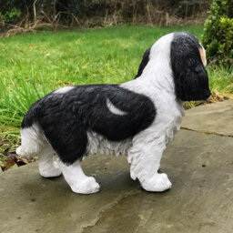 Animal Crackers Large (31Cm) Cavalier King Charles Spaniel Figurine, Heavy Weight,  Home Or Garden Decoration, Gift Boxed - thumbnail 4