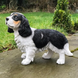 Animal Crackers Large (31Cm) Cavalier King Charles Spaniel Figurine, Heavy Weight,  Home Or Garden Decoration, Gift Boxed - thumbnail 2