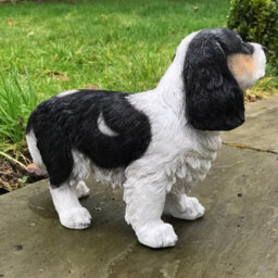 Animal Crackers Large (31Cm) Cavalier King Charles Spaniel Figurine, Heavy Weight,  Home Or Garden Decoration, Gift Boxed - thumbnail 3