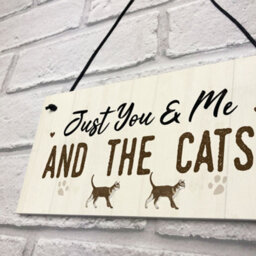 Red Ocean You Me And The Cats Sign Home Funny Crazy Cat Lady Sign Pet Lover Gift - thumbnail 7