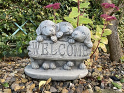 Oakley Welcome Dogs' Stone Cast Garden Ornament - thumbnail 8