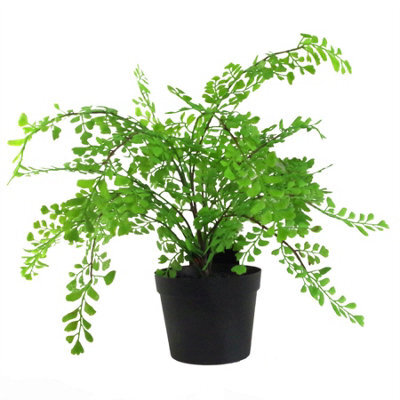 Leaf 35Cm Artificial Potted Fern Plant (Southern Maidenhair Fern) - image 1