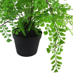 Leaf 35Cm Artificial Potted Fern Plant (Southern Maidenhair Fern) - thumbnail 3