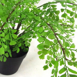 Leaf 35Cm Artificial Potted Fern Plant (Southern Maidenhair Fern) - thumbnail 2