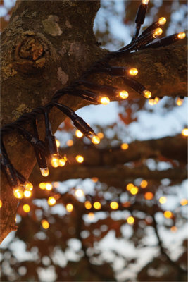 Eagle Connect Cluster Lights Black Rubber Ip65 Copper Gold 40M - image 1