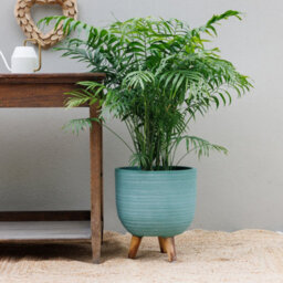 Primrose Round Textured Patio Planter With Wooden Legs In Blue 30Cm - thumbnail 7
