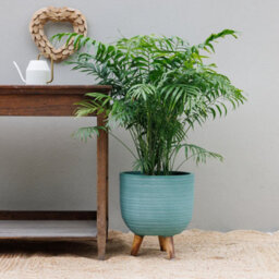 Primrose Round Textured Patio Planter With Wooden Legs In Blue 30Cm - thumbnail 6