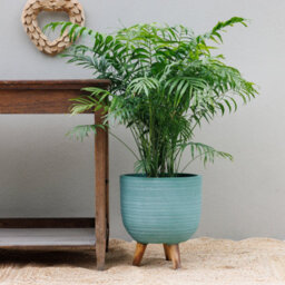 Primrose Round Textured Patio Planter With Wooden Legs In Blue 30Cm - thumbnail 5