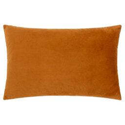 Paoletti Lexington Velvet Jacquard Feather Rich Cushion - thumbnail 2