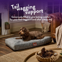Slumberdown Padded Dog Bed: Cosy Comfort For A Happy Pup, Grey - thumbnail 3