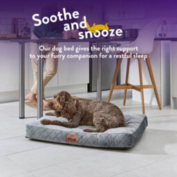Slumberdown Padded Dog Bed: Cosy Comfort For A Happy Pup, Grey - thumbnail 4