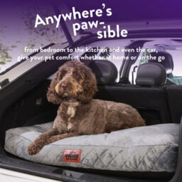 Slumberdown Padded Dog Bed: Cosy Comfort For A Happy Pup, Grey - thumbnail 7