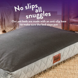 Slumberdown Padded Dog Bed: Cosy Comfort For A Happy Pup, Grey - thumbnail 5