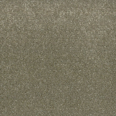 Banquet Stripes And Plains Bleach Cleanable Carpet By Remland (Anise, 2M X 4M) - image 1