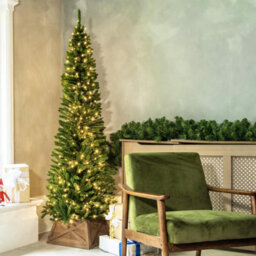 Christmas Tree World The Pre-Lit 6Ft/180Cm Green Italian Pencilimo Christmas Tree - thumbnail 4