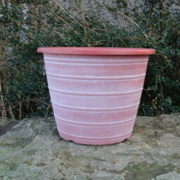 Anglo Eastern Trading Co 30Cm Olympia Terracotta With White Planter Pot - thumbnail 2