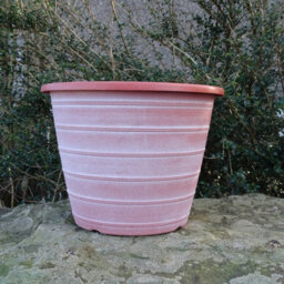 Anglo Eastern Trading Co 30Cm Olympia Terracotta With White Planter Pot - thumbnail 1