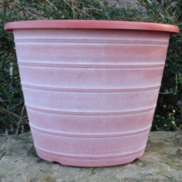 Anglo Eastern Trading Co 30Cm Olympia Terracotta With White Planter Pot - thumbnail 3
