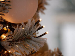 Festive Indoor & Outdoor 5Ft Christmas Tree Lights 520 Warm White Leds - thumbnail 7