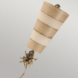 Elstead Lighting Flambeau Anemone 1Lt Table Lamp Finish: Taupe And Cream Wired: 1X100W E27 220-240V 50Hz - thumbnail 2