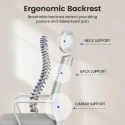 White Gray Mesh Office Ergonomic Chair Swivel Lift Computer Desk Adjustable Height - thumbnail 2