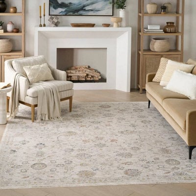Xample Nourison Antique Fusion Ivory Multi Rug 274X361Cm Soft Polyester Distressed Vintage Style Indoor Area Rug Neutral Tone - image 1