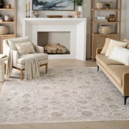 Xample Nourison Antique Fusion Ivory Multi Rug 274X361Cm Soft Polyester Distressed Vintage Style Indoor Area Rug Neutral Tone - thumbnail 1