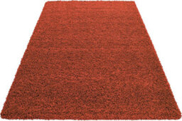 Prime Plus Extra Thick Heavy 5Cm Pile Soft Shaggy Rugs Modern Area Rugs Bedroom Hall Rugs (Terracota, 80 X 150Cm) - thumbnail 3