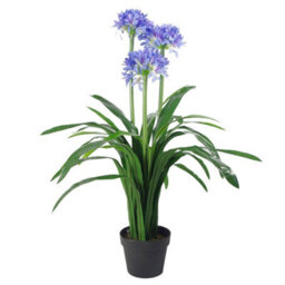 Leaf Premium Artificial Agapanthus With Pot Blue 90Cm - thumbnail 1