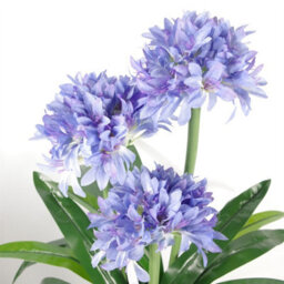 Leaf Premium Artificial Agapanthus With Pot Blue 90Cm - thumbnail 2