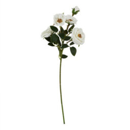 Wyld Haus Set Of 3 Artificial Flowers White Hedge Rose Stems - thumbnail 1